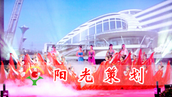 大连演出公司是如何制定演出方案的