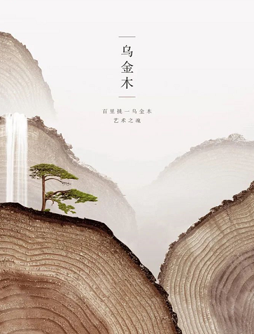 新乡广告设计