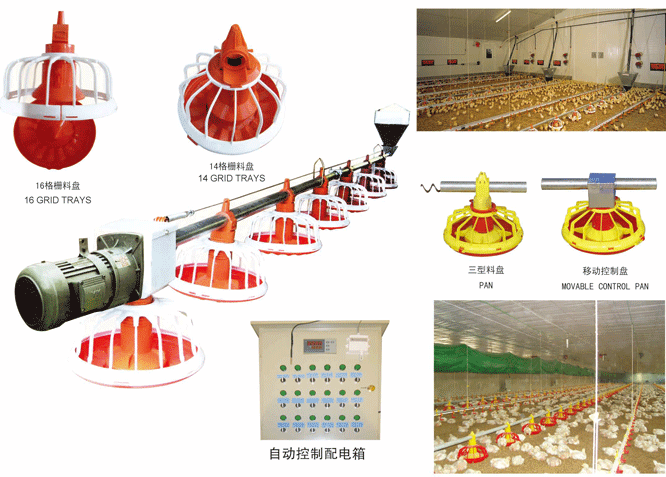 家禽养殖自动料线