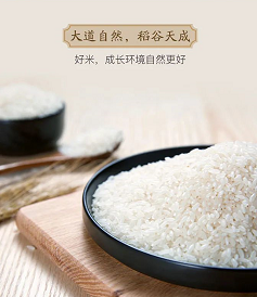 新乡设计