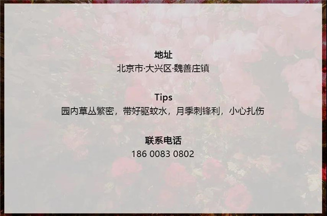 1594632391229870.jpg 春末夏初,我們相約在“納”縷花香