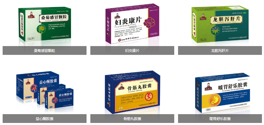 公司簡介