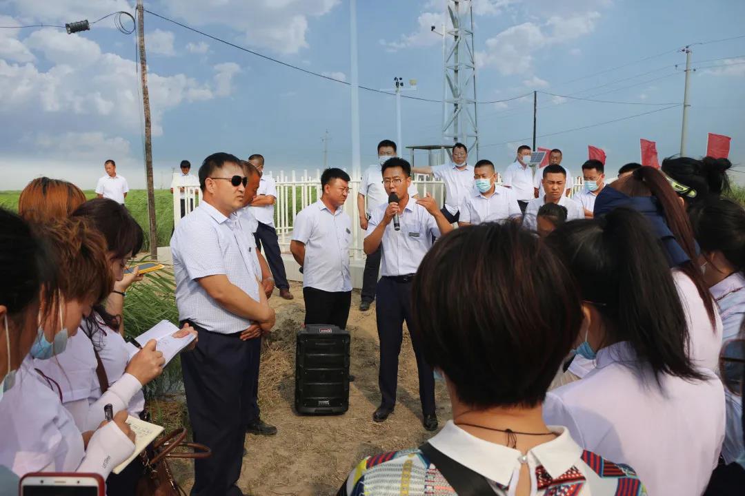 学习分享拓思路，合力共进创新程