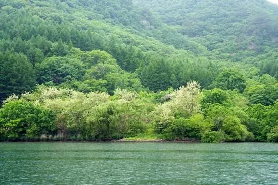 丹东青山沟住宿