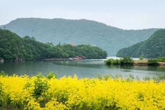 丹东青山沟住宿