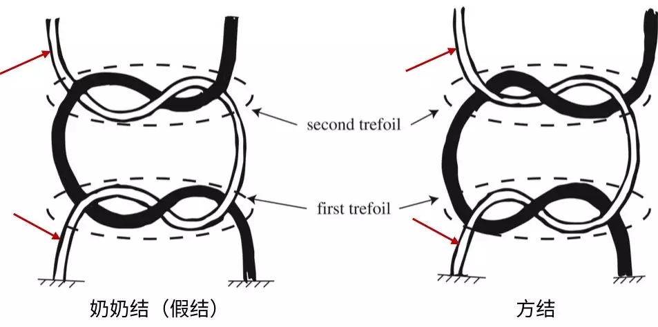 1596529242525751.jpg 威海捷潤貿易有限公司