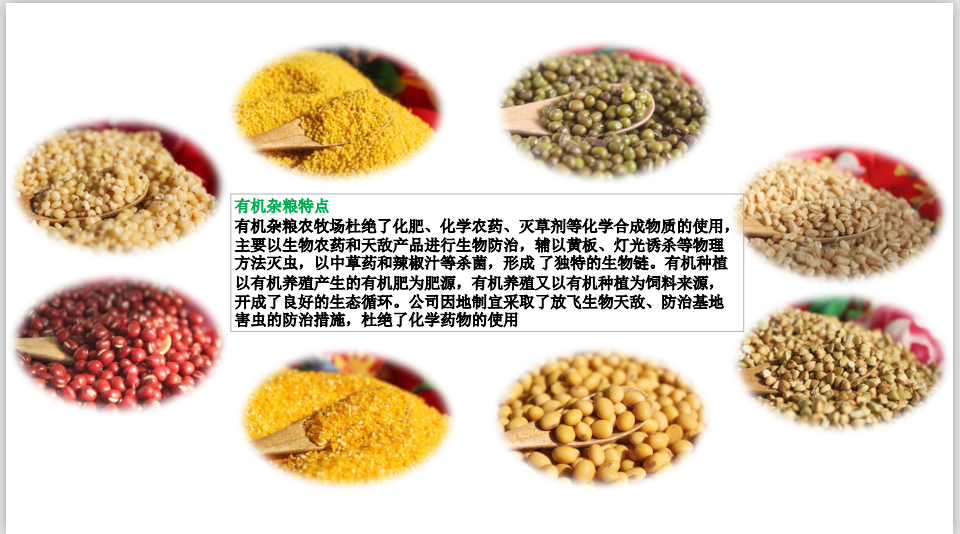 1597653350772990.png beplay官网注册食品对人体免疫力有何影响