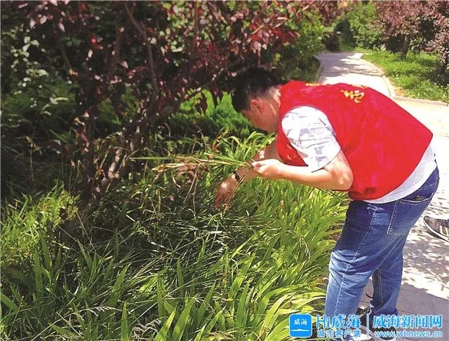 威海山威海诚汽车服务有限公司