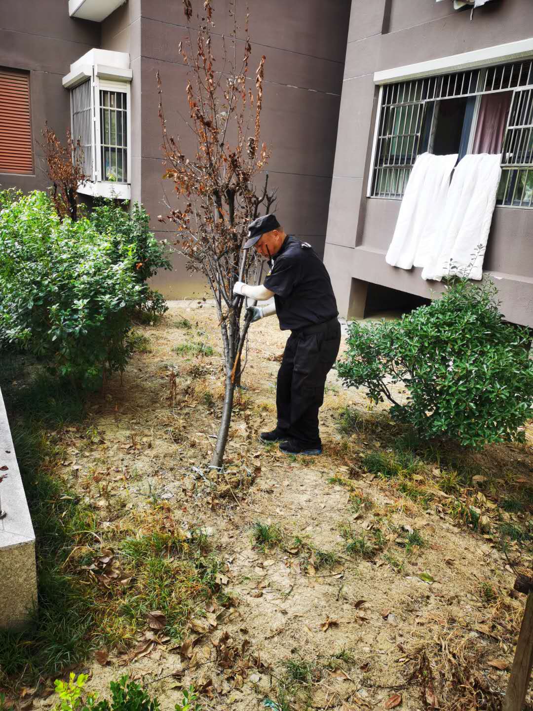 幸福城