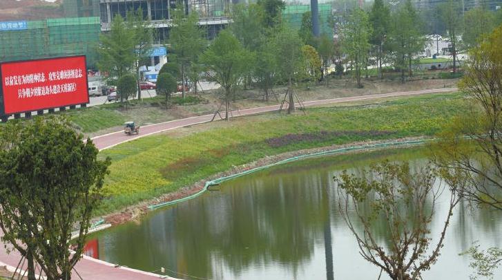 雨水收集