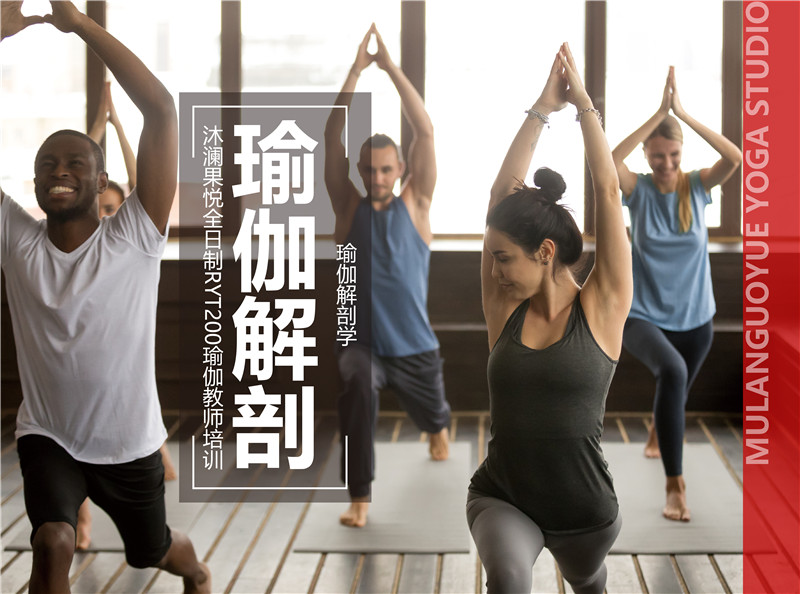 瑜伽教师培训