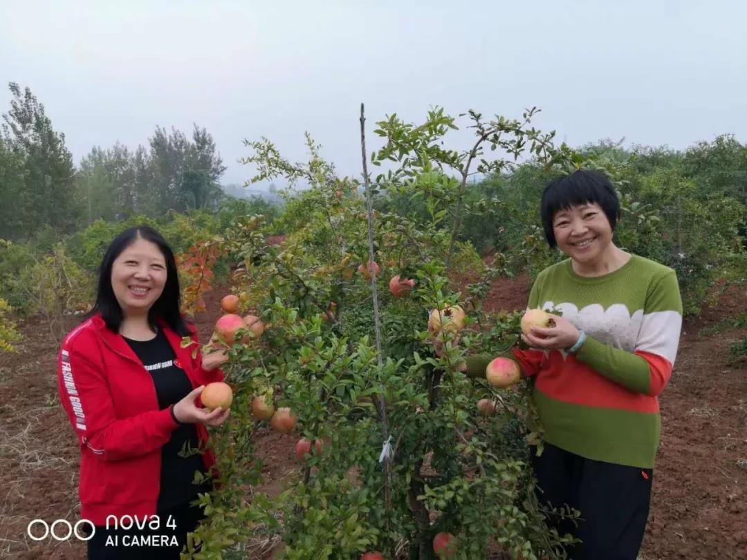 “与爱同行，惠游湖北”，亲手采石榴，畅游太极峡！