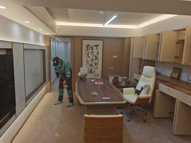 除甲醛哪家好