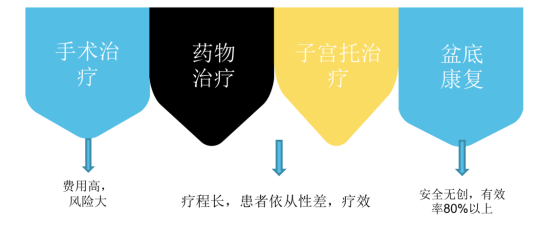 產后盆底肌功能康復治療儀