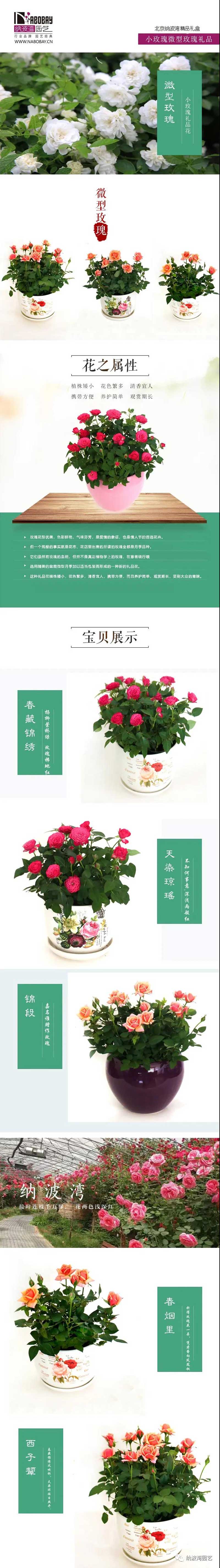 1603241201664761.jpg 我們“約季”里相見,怎能讓驚喜溜走?