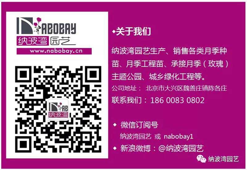 1603241330111788.jpg 我們“約季”里相見,怎能讓驚喜溜走?