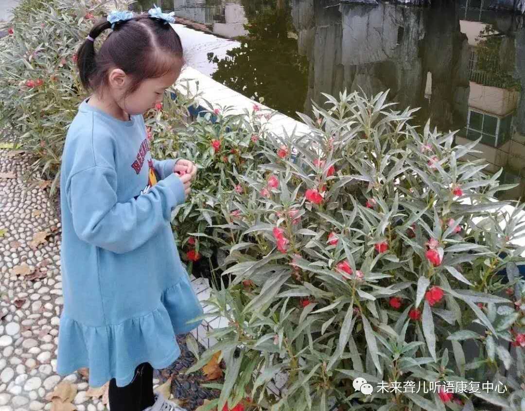 中秋佳节，月满人团圆——未来听障儿童听语中心特教人的和谐“中国节”