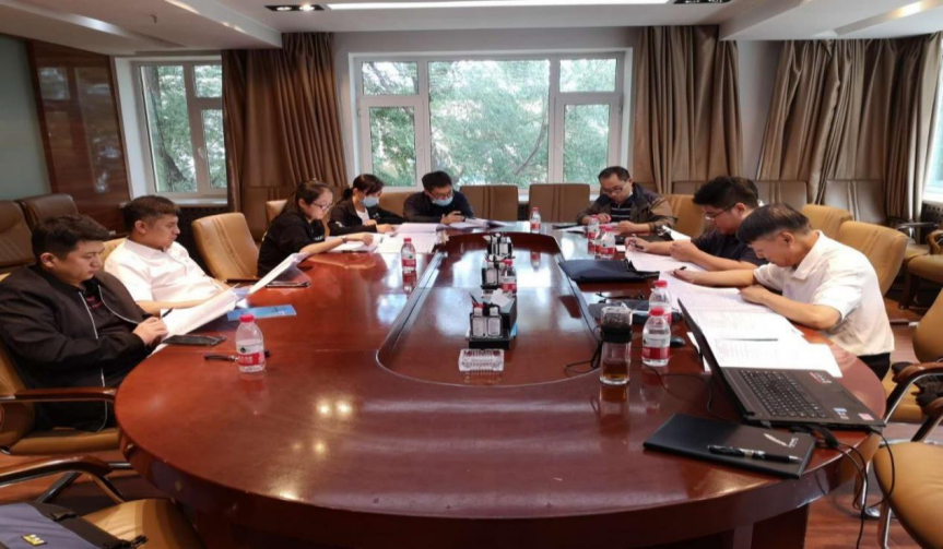2020年黑龙江省矿产资源年报项目通过初稿评审