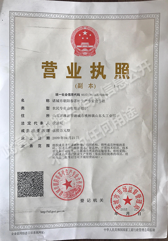 资质