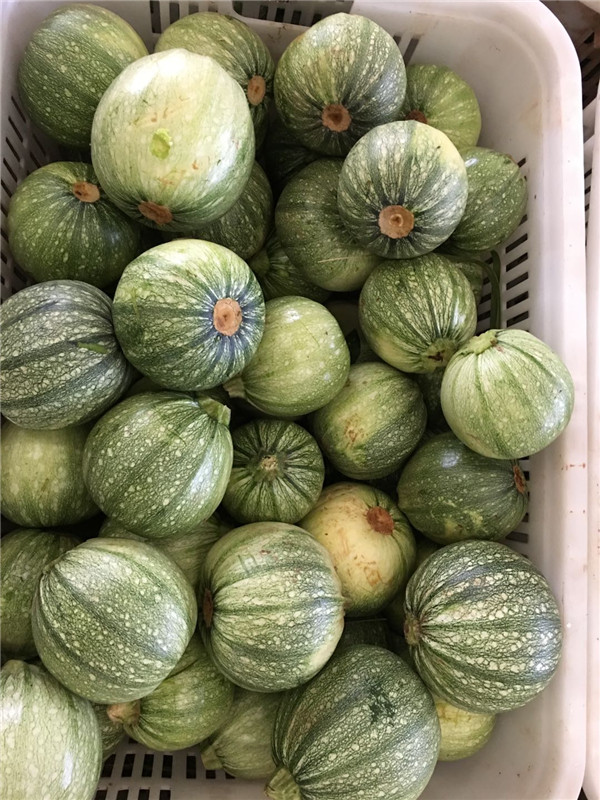 重庆蔬菜配送