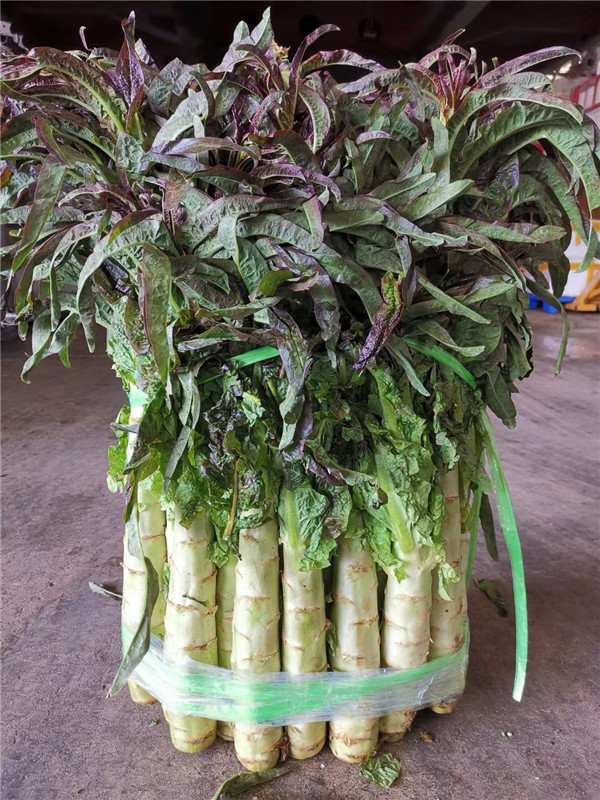 重庆蔬菜配送