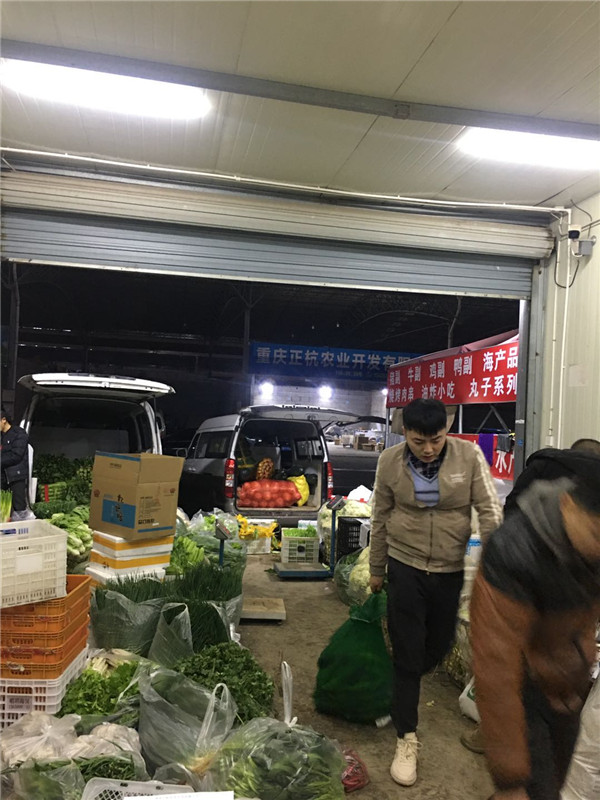 重庆蔬菜配送