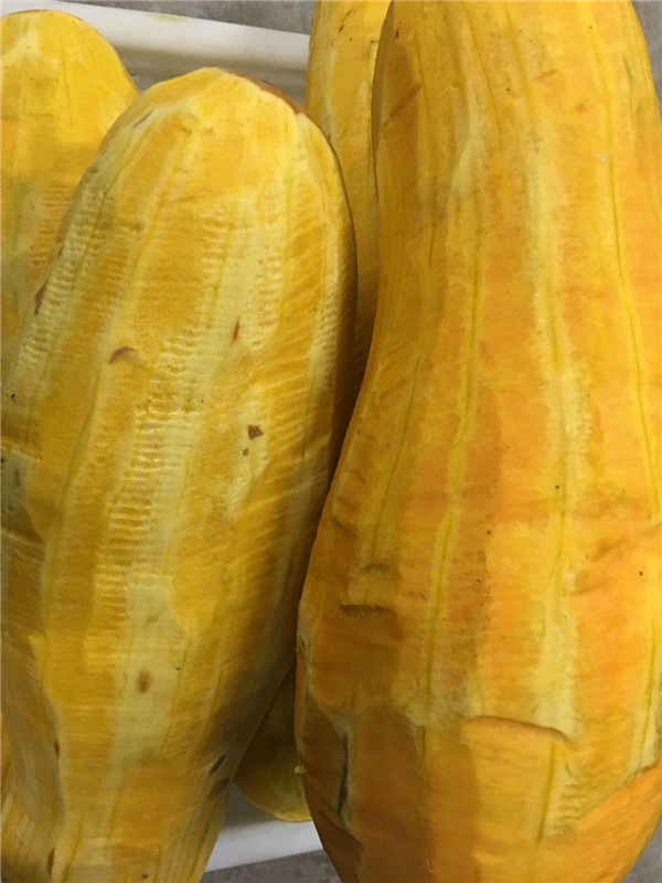 重庆蔬菜配送