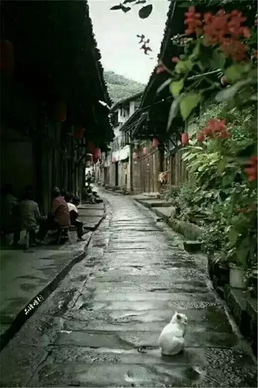 1604889575245053.jpg 中华杜康
