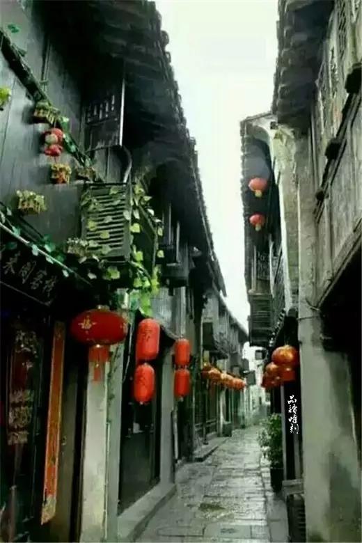 1604889585650891.jpg 中华杜康