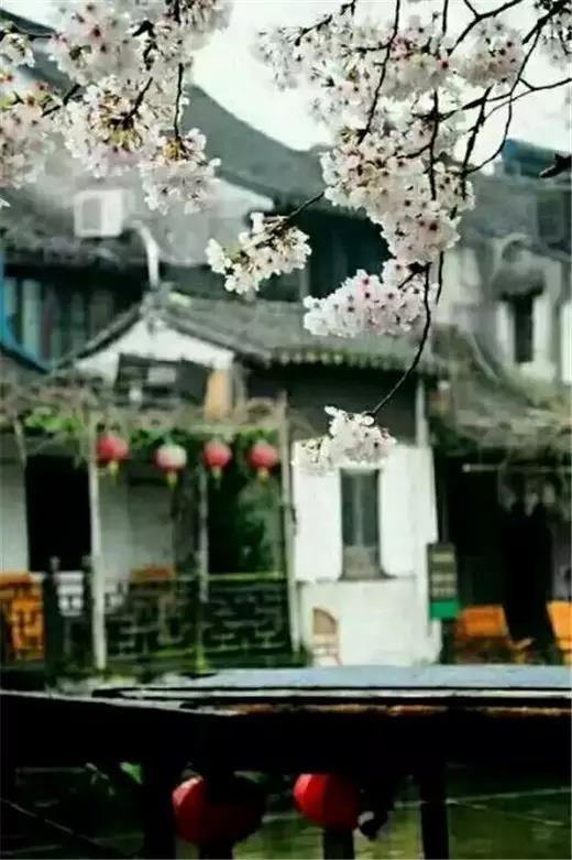 1604889642569379.jpg 中华杜康