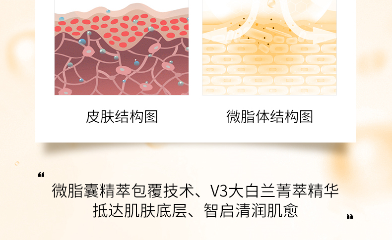面部修護精華肌底液