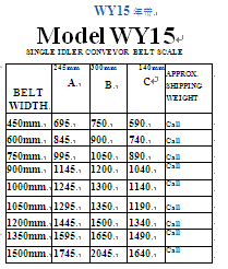 输送机皮带秤WY15