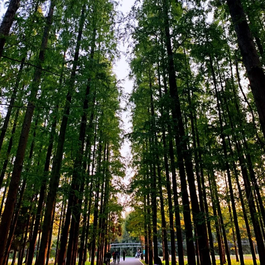 1607306649525502.png 杜康
