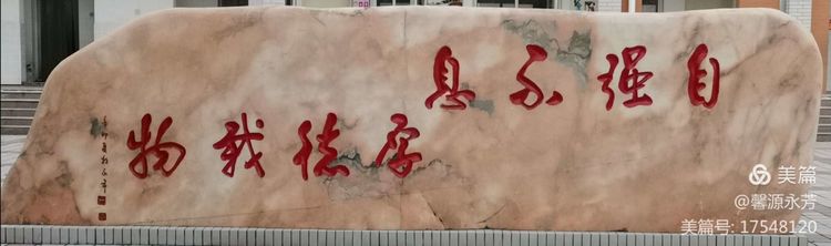 中招喜讯