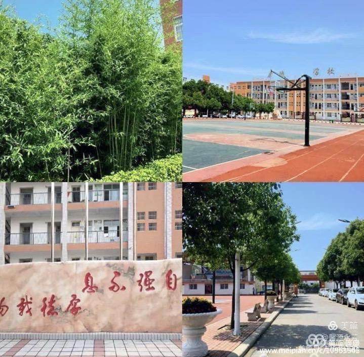 中招喜讯