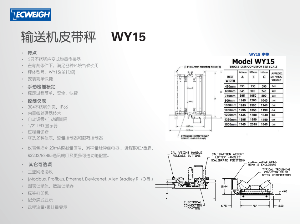 输送机皮带秤WY15