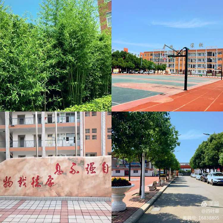 毕业季