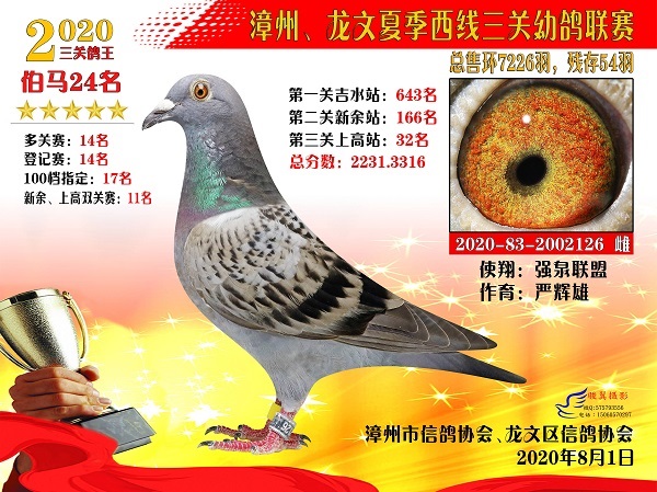 漳州信鸽比赛