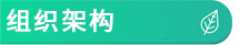 组织架构