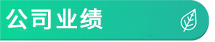 公司业绩