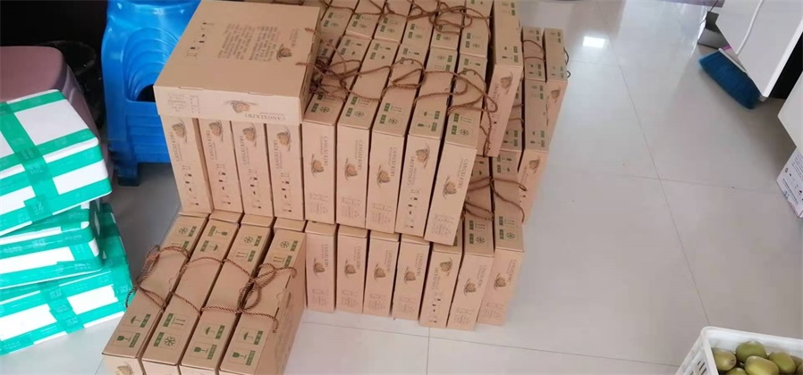 红心猕猴桃