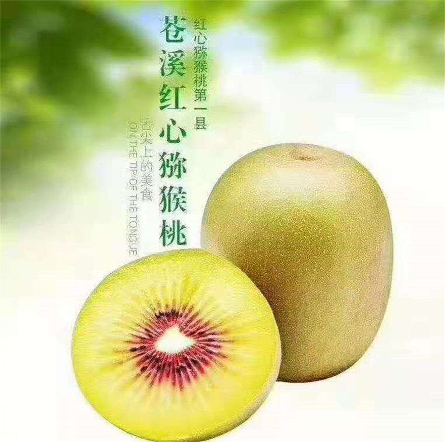 红心猕猴桃