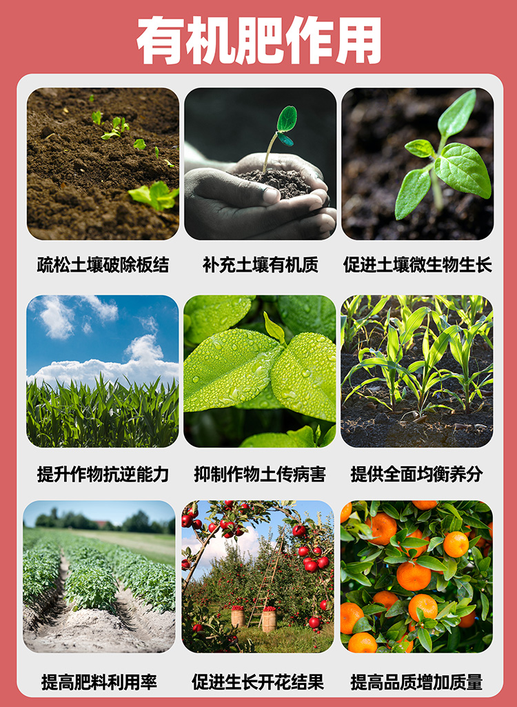 植物蛋白型有机肥料