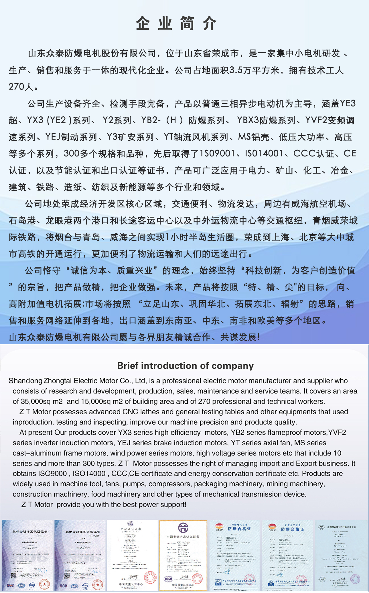 威海众泰防爆电机