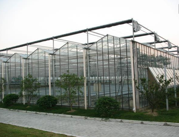 温室大棚造价