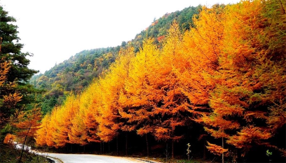 曾家山风景图