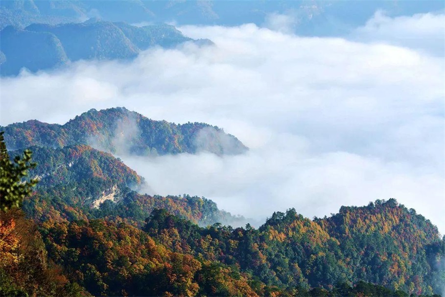 曾家山风景图
