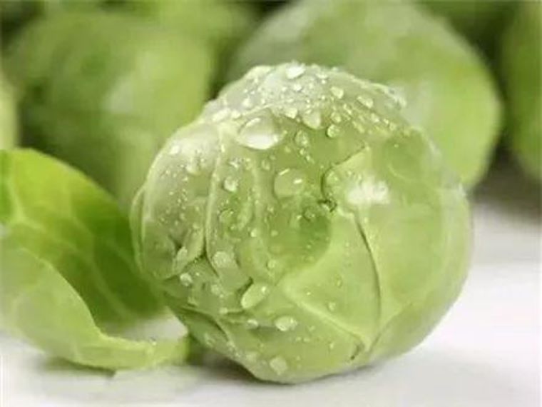 甘蓝