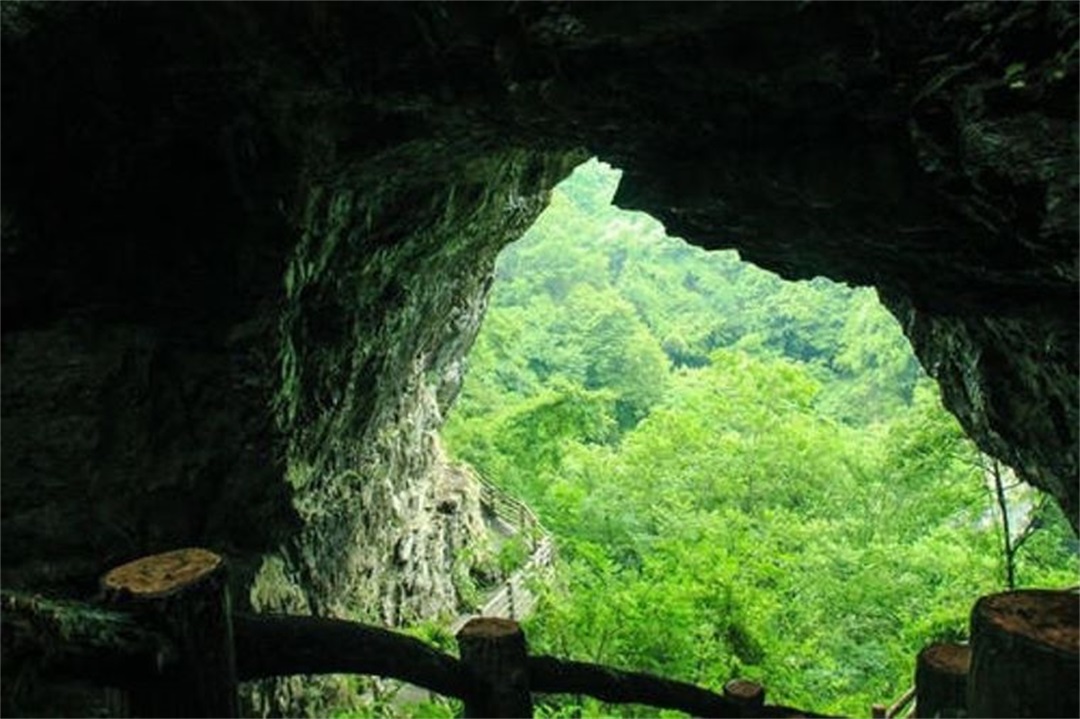 川洞庵