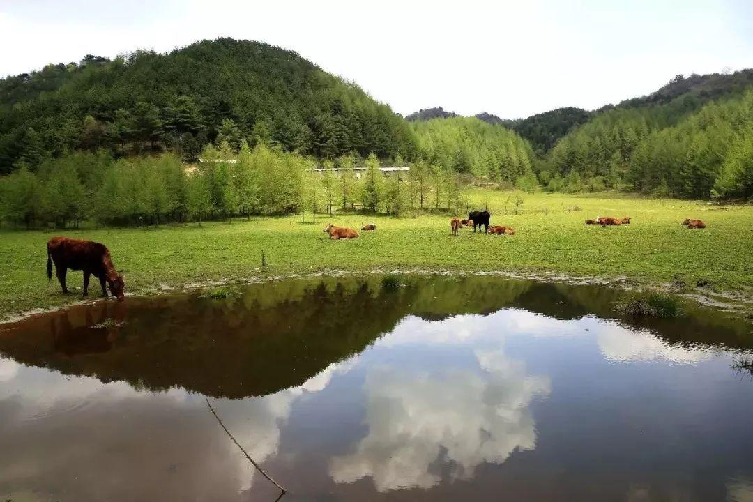 吊滩河
